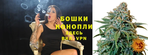 стафф Верхний Тагил