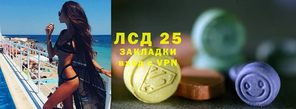 стафф Верхний Тагил