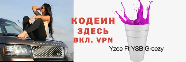 стафф Верхний Тагил