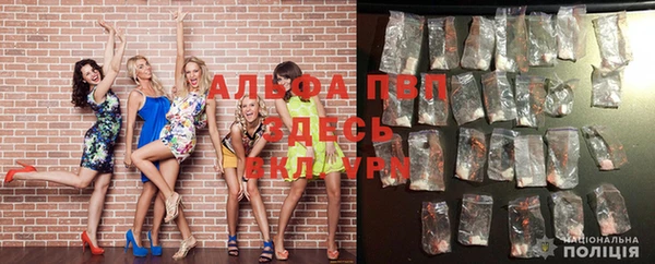 стафф Верхний Тагил