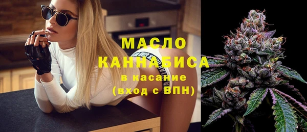 стафф Верхний Тагил