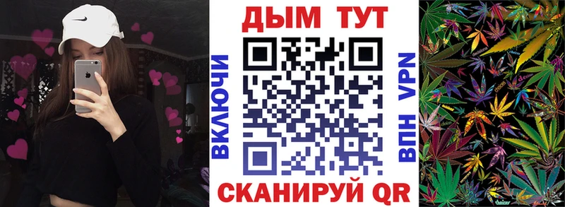 цена наркотик  Орехово-Зуево  Бошки марихуана SATIVA & INDICA 